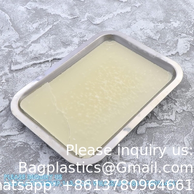 Plateau de dissection en cire en acier inoxydable Pan de dissection épais Équipement biologique pour le laboratoire des écoles secondaires