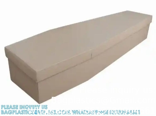 Coffres en carton à crémation biodégradables assemblés Prix des fabricants Coffres en carton