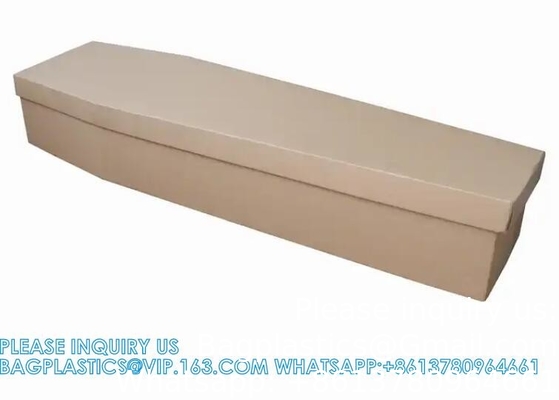 Coffres en carton à crémation biodégradables assemblés Prix des fabricants Coffres en carton
