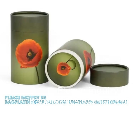 fournitures funéraires carton coffre biodégradable pour animaux coffre-citerne poubelle de dispersion tube de papier incinération cendres d'animaux de compagnie urne de dispersion