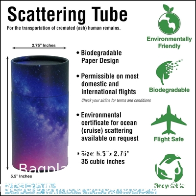 fournitures funéraires carton coffre biodégradable pour animaux coffre-citerne poubelle de dispersion tube de papier incinération cendres d'animaux de compagnie urne de dispersion