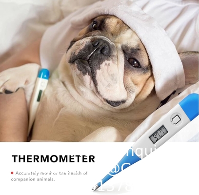 Kit de premiers secours pour animaux de compagnie, fournitures infirmières de 105 pièces avec collier d'urgence, instructions de premiers secours et plus idéal pour la maison