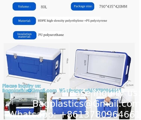 Transport d'organes médicaux personnalisés Refroidisseur portable Vin Bière Styropor Glace Poitrine Sac thermique Boîte de refroidisseur alimentaire