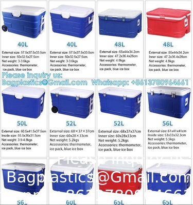 Transport d'organes médicaux personnalisés Refroidisseur portable Vin Bière Styropor Glace Poitrine Sac thermique Boîte de refroidisseur alimentaire