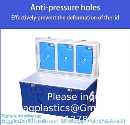 Transport d'organes médicaux personnalisés Refroidisseur portable Vin Bière Styropor Glace Poitrine Sac thermique Boîte de refroidisseur alimentaire
