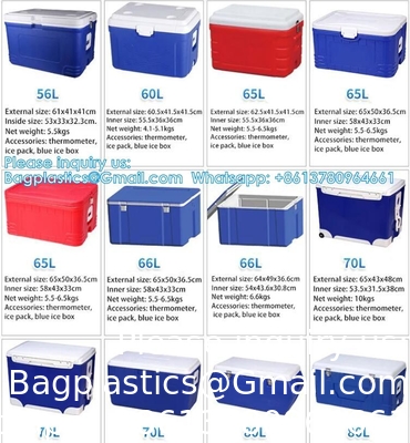 Transport d'organes médicaux personnalisés Refroidisseur portable Vin Bière Styropor Glace Poitrine Sac thermique Boîte de refroidisseur alimentaire