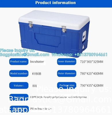 Transport d'organes médicaux personnalisés Refroidisseur portable Vin Bière Styropor Glace Poitrine Sac thermique Boîte de refroidisseur alimentaire