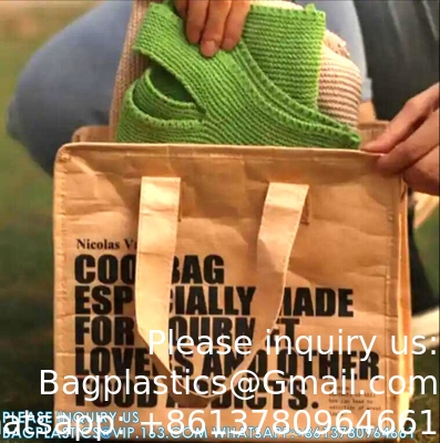 Sacs de déjeuner pour femmes Cooler de sac de déjeuner isolé, boîtes de déjeuner Tyvek portables pour femmes, grand déjeuner
