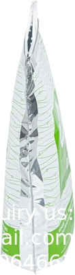 11.8 x 5.9 x 15 pouces sac chaud et froid, 1 sac isolé à trois couches - poignées de verrouillage rapide, étanche, vert et argenté