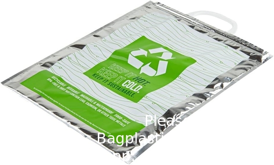 11.8 x 5.9 x 15 pouces sac chaud et froid, 1 sac isolé à trois couches - poignées de verrouillage rapide, étanche, vert et argenté