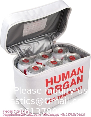 Produits médicaux sac de transport de spécimens: refroidisseur isolé pour les professionnels de la santé et les spécialistes du laboratoire
