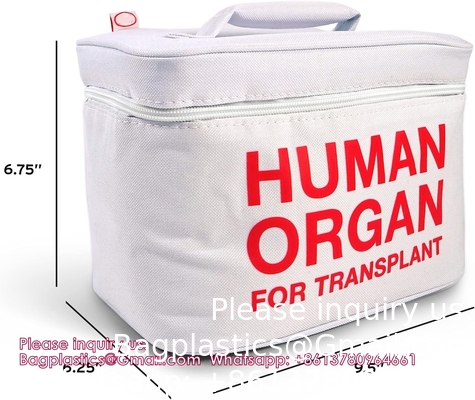 Produits médicaux sac de transport de spécimens: refroidisseur isolé pour les professionnels de la santé et les spécialistes du laboratoire