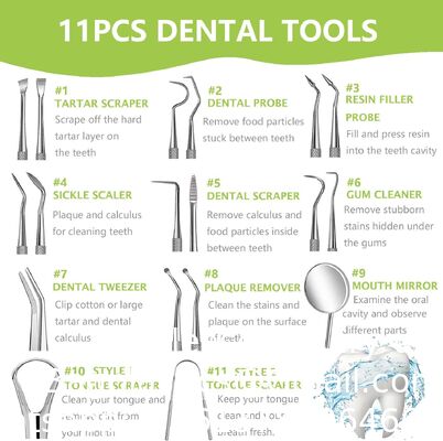 Dental Examination Kit Optional Pieces Stainless Steel Probe & Scaler Diagnostic Instrument Dental Surgical Tool Box Tongue Scraper Tartar Plaque Remover Tooth Cleaner Dental Floss Pick Mouth